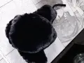 Свещник от месинг и седеф, снимка 10