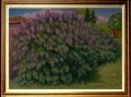 Люляков храст. , снимка 1