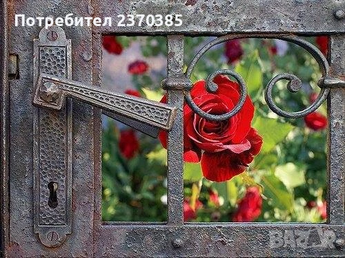 Таро & Астро консултация - 2 в 1 комбинация