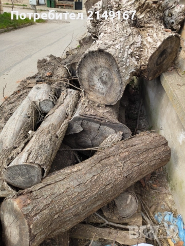 Дървен материал на трупи 