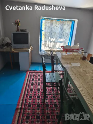 Продавам къща и двор с изглед към р. Дунав, снимка 11 - Къщи - 55469993
