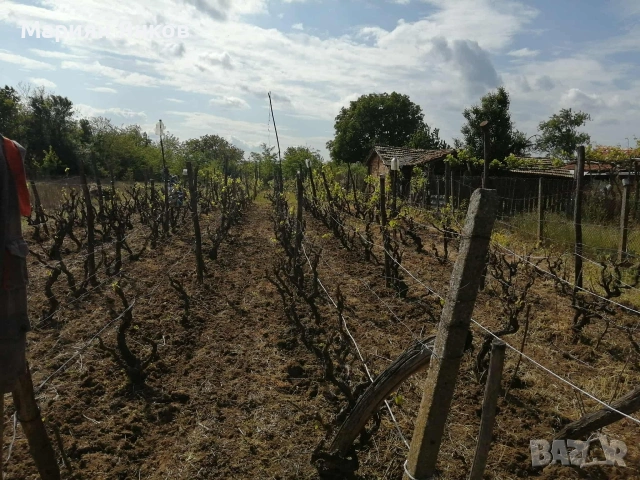 Продавам къща С Ловчанци.., снимка 5 - Къщи - 54193581