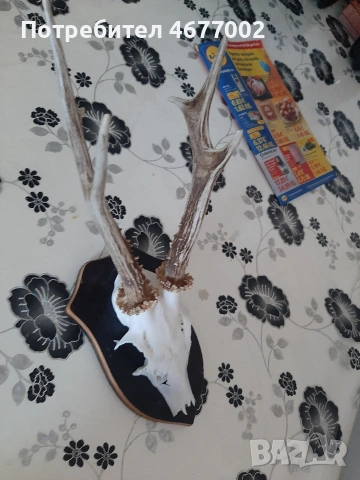 голям сръндак, снимка 7 - Антикварни и старинни предмети - 54317557