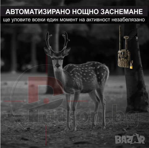 Ловна камера, снимка 7 - Камери - 54498733