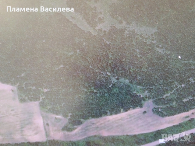 Широколистна гора 
