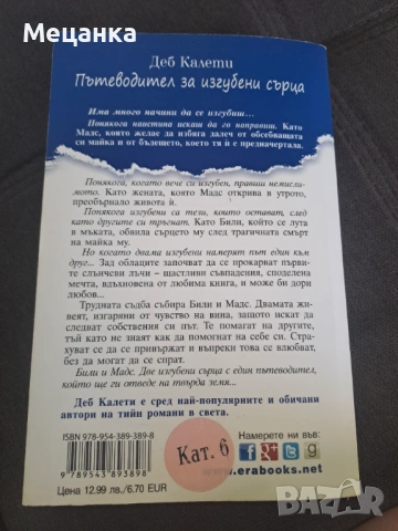 Пътеводител за изгубени сърца, снимка 2 - Художествена литература - 54763672