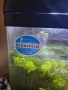 Продавам сшешно оборудван аквариум 25 L, снимка 6