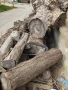 Дървен материал на трупи , снимка 1