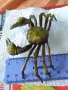 Бронзова фигурка на рак 40648, снимка 5