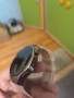 Huawei WATCH 5 WOMEN / ЖЕНСКИ, снимка 5