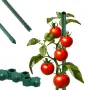 Голяма оранжерия с иновативна врата с панти - комфорт и издръжливост, снимка 2