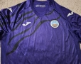 Swansea City AFC / Суонзи - GK shirt 2022/23 - размер L, снимка 2