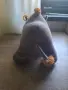 Плюшени носорог , снимка 4