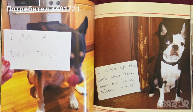 Dog Shaming, снимка 8 - Други - 55064833