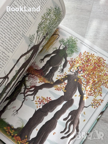 Дърветата| Пьотр Соха , снимка 12 - Детски книжки - 54179710