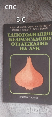 , Безрасадово отглеждане на лук,,
