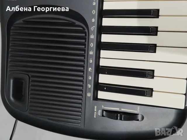 Синтезатор TECHNICS SX - KN 501, снимка 4 - Синтезатори - 55428315