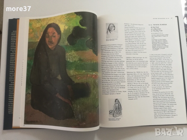 Пол Гоген-рядка книга, снимка 13 - Изкуство, музика, кино и фотография - 55314834