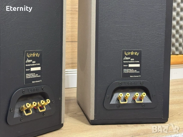 Infinity KAPPA 600 / Тонколони, снимка 9 - Тонколони - 54933897