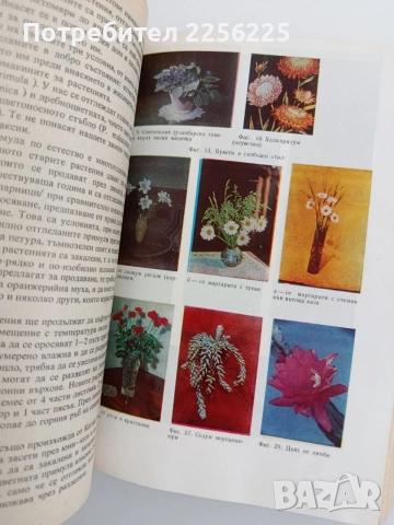 Книга за всеки ден и всеки дом, снимка 5 - Специализирана литература - 54791527