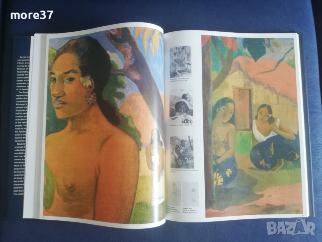 Пол Гоген-рядка книга, снимка 7 - Изкуство, музика, кино и фотография - 55314834
