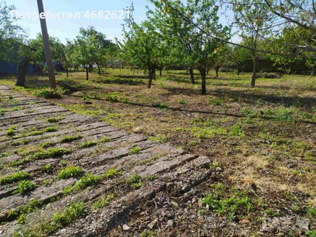 Продавам дворно място в регулацията на с.Безмер, обл. Ямбол, снимка 2 - Парцели - 54413628