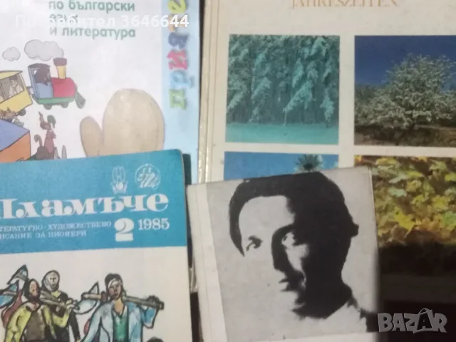 Цял лот от детски книжки, снимка 7 - Детски книжки - 55682924