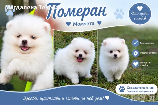 Момчета померанчета