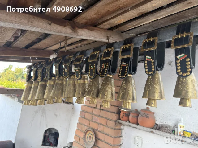 Чанове от 7 до19