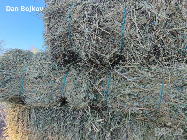 Продавам малки бали люцерна 