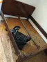 Стари дървени мебели , снимка 6