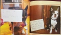 Dog Shaming, снимка 8