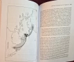 Теория и история на отношенията САЩ-Латинска Америка / Understanding U.S.-Latin American Relations, снимка 9