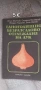 , Безрасадово отглеждане на лук,,, снимка 1