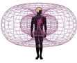 NEXUS TORUS-универсална система , снимка 1