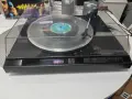 Saba   PSP    1, снимка 1