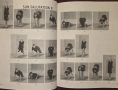 8 Weeks to Seal Fit, снимка 5