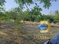 Парцел в регулация в село Долно Брястово, общ. Минерални бани, снимка 1