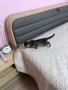 Бенгалски котета, снимка 4