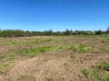 Парцели за жилищно строителство в с. Оризари, обл. Пловдив, снимка 1