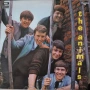 Грамофонни плочи The Animals – The Animals, снимка 1