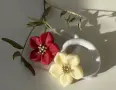 7 цветчета цветенца цвете цветя островърхи силиконов молд форма фондан шоколад смола гипс декор, снимка 5