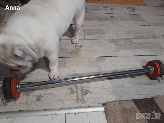 продавам лост с тежести 