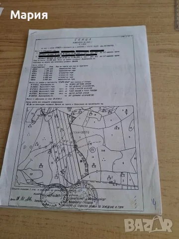 Продава се гора , снимка 3 - Земеделска земя - 55323078