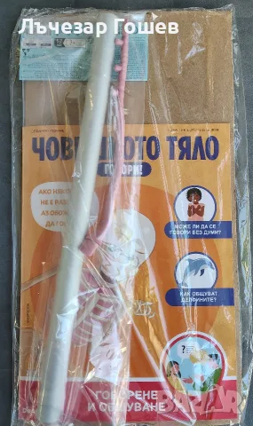 Човешкото тяло говори брой 29 -38 брой., снимка 7 - Колекции - 52217108
