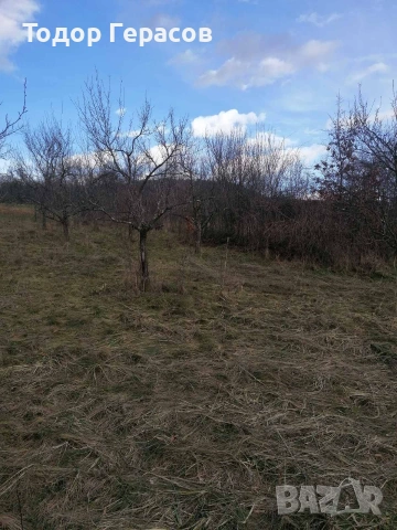 Парцел в регулацията на с.Гумощник, снимка 4 - Парцели - 55001026