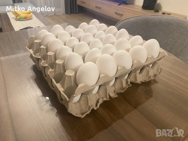 Домашни яйца