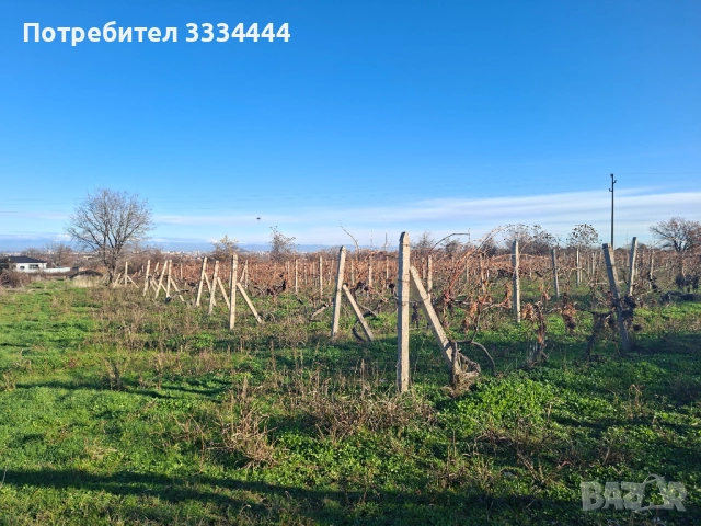Продавам имот в местност Комсала, с. Марково, гр. Пловдив, снимка 2 - Земеделска земя - 54430317