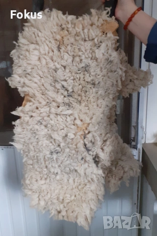 Стара автентична кукерска маска дърво дърворезба овча кожа, снимка 3 - Антикварни и старинни предмети - 54044033