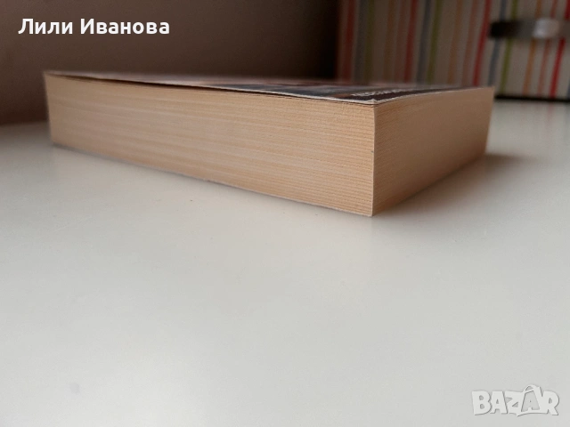 Обещавам ти провал - Педру Шагаш Фрейташ, снимка 4 - Художествена литература - 54086702